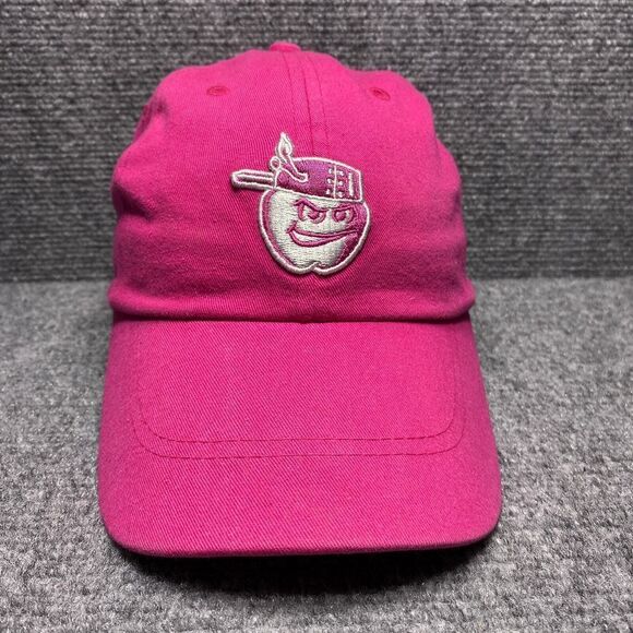 Fort Wayne Tin Caps Hat Cap Strap Back Girl Pink MILB Minor Baseball Bimm Ridder - Picture 1 of 9